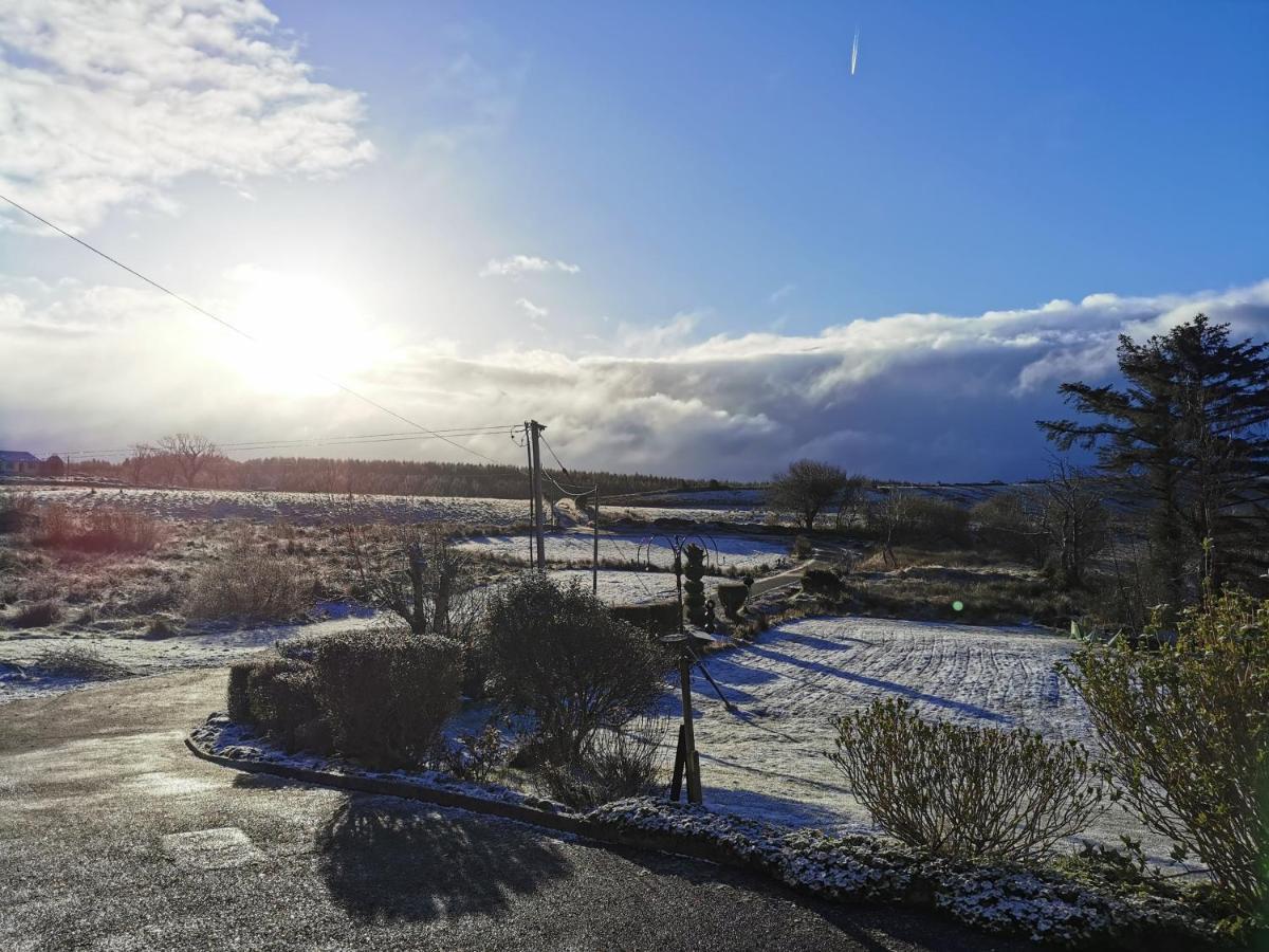 New Listing - Ladybird Cottage - Donegal - Wild Atlantic Way Donegal Town Kültér fotó