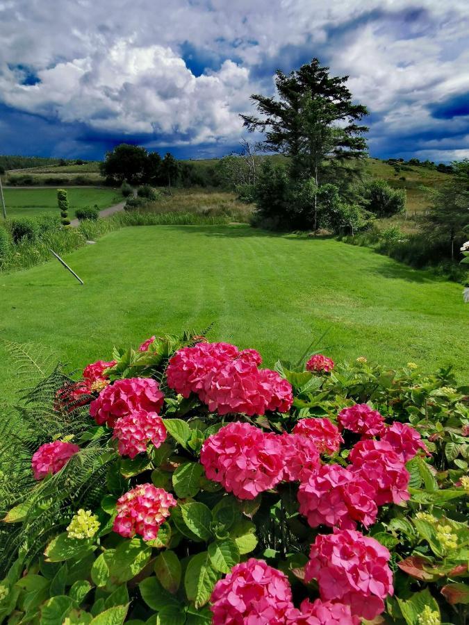 New Listing - Ladybird Cottage - Donegal - Wild Atlantic Way Donegal Town Kültér fotó