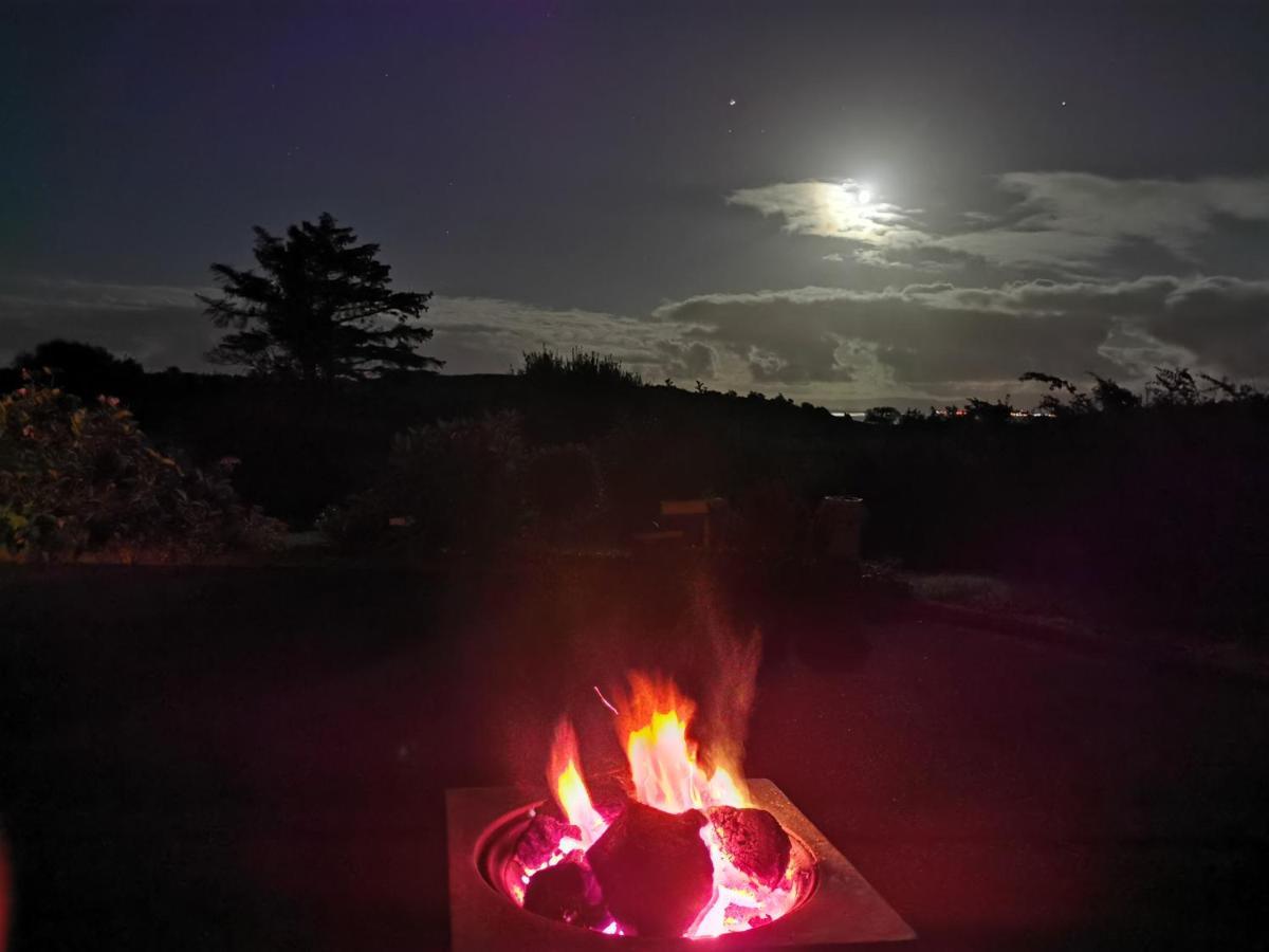 New Listing - Ladybird Cottage - Donegal - Wild Atlantic Way Donegal Town Kültér fotó