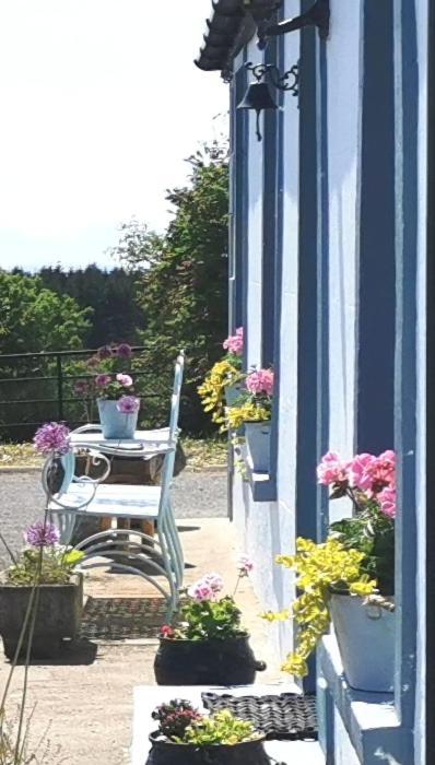 New Listing - Ladybird Cottage - Donegal - Wild Atlantic Way Donegal Town Kültér fotó