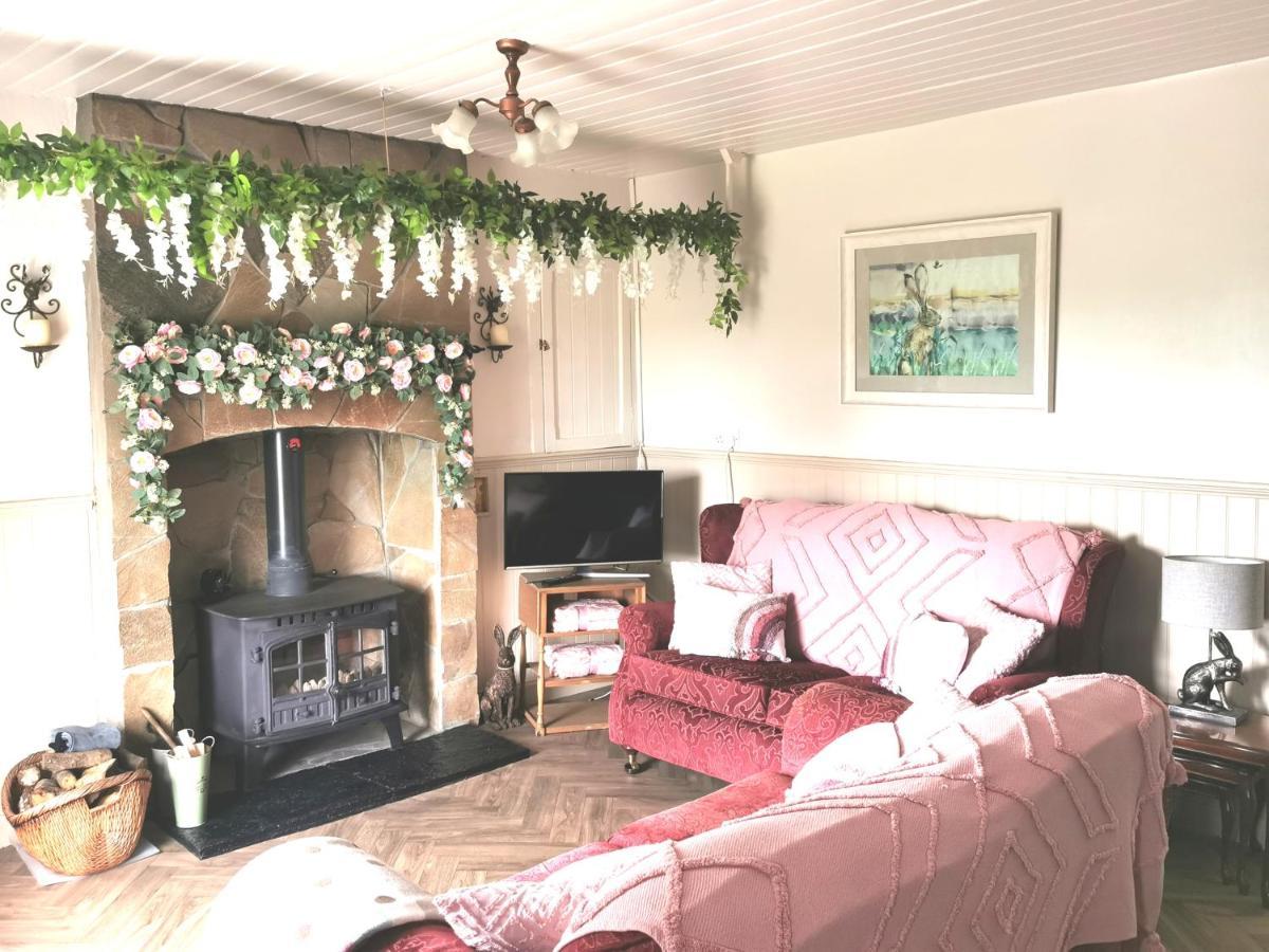 New Listing - Ladybird Cottage - Donegal - Wild Atlantic Way Donegal Town Kültér fotó